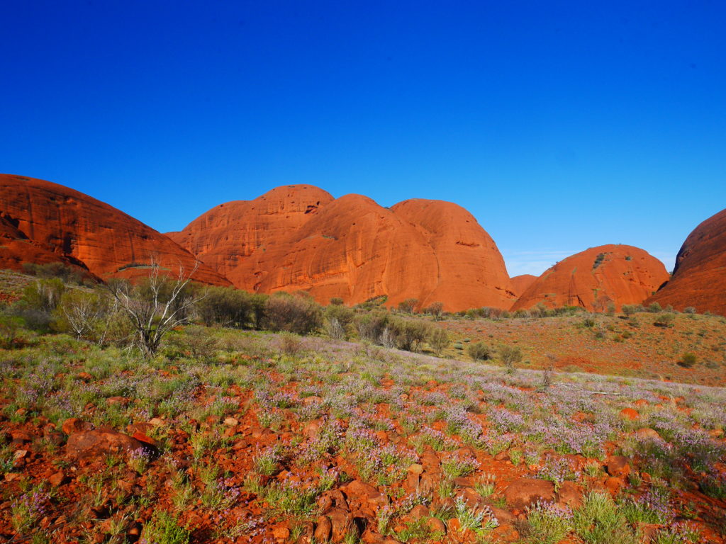 Australia Red desert 2021 - Kata Tjuta