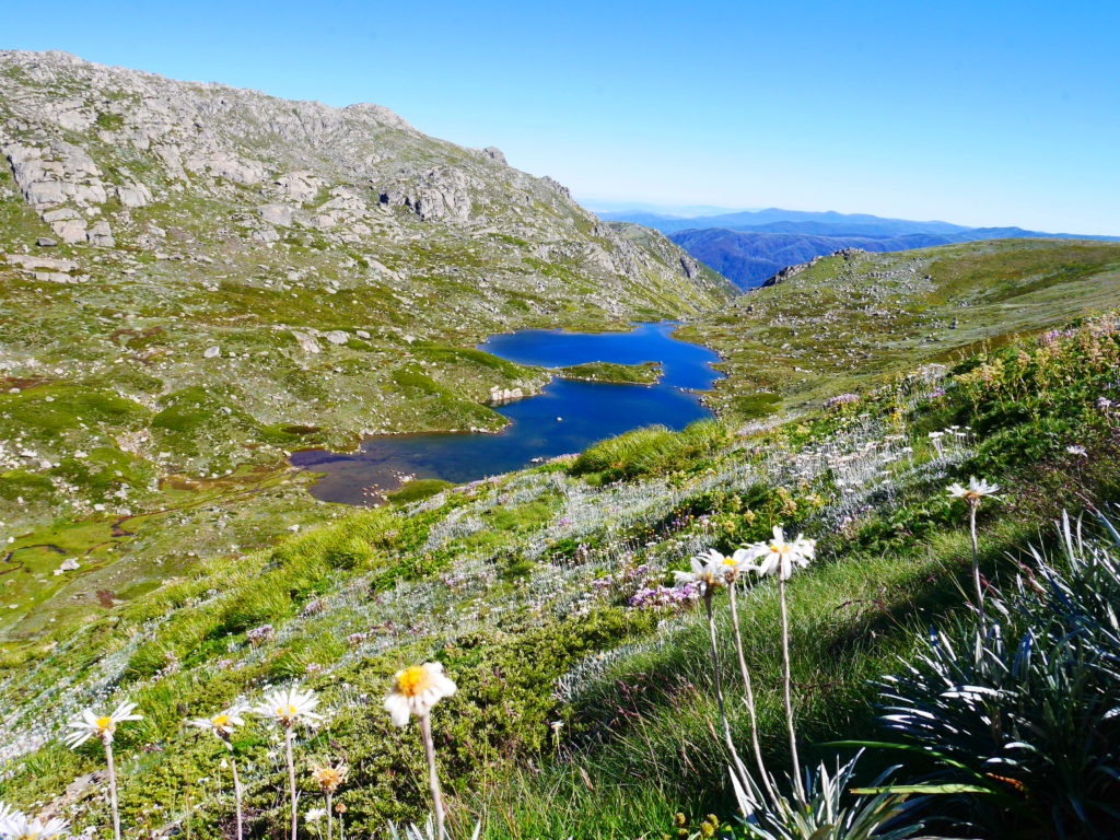 mt kozuscko - Australie